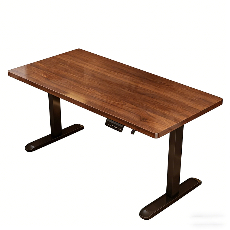 Modern Iron Dual Motor Electri - огляд і ціна Desk Setup Designer
