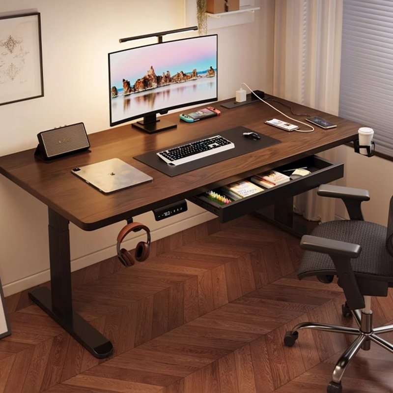 Modern Iron Dual Motor Electri - огляд і ціна Desk Setup Designer