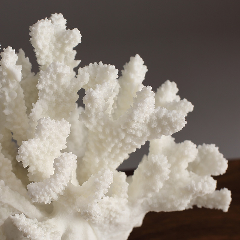 Nordic Style Simulated Coral R - огляд і ціна Desk Setup Minimalist